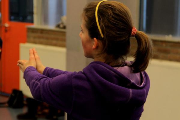 Workshop Stepping Vlaanderen